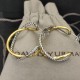 David Earrings