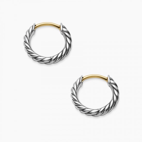 David Earrings