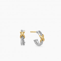 David Earrings