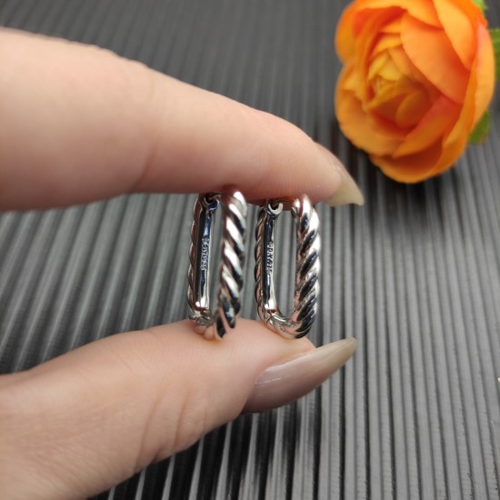 David Earrings