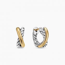 David Earrings