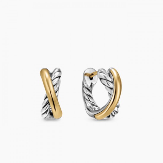 David Earrings