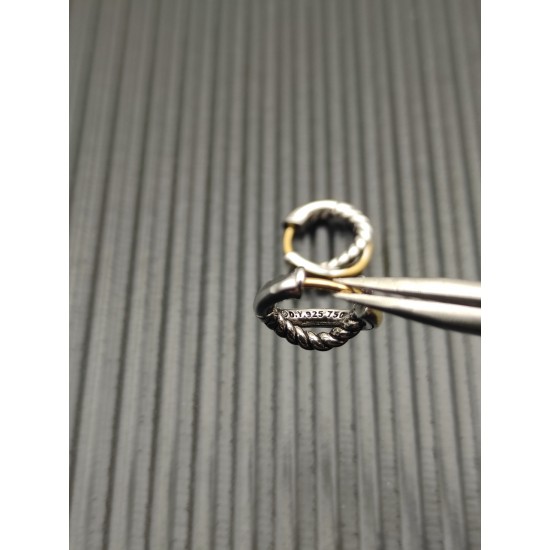 David Earrings