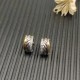 David Earrings