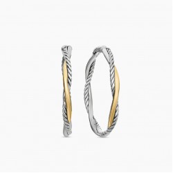 David Earrings