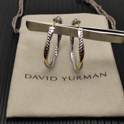 David Earrings