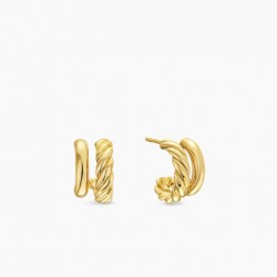 David Earrings