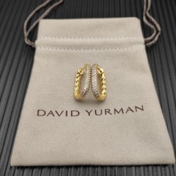 David Earrings