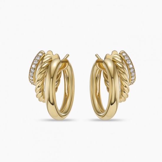 David Earrings