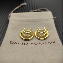 David Earrings
