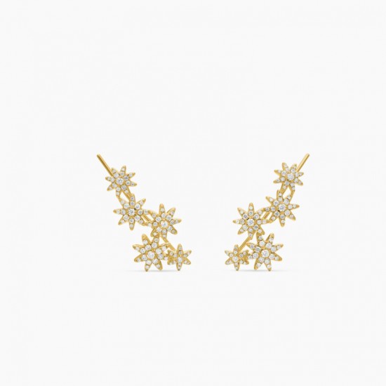 David Earrings
