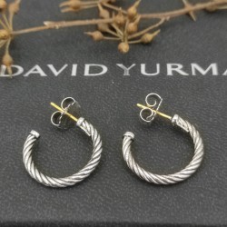David Earrings