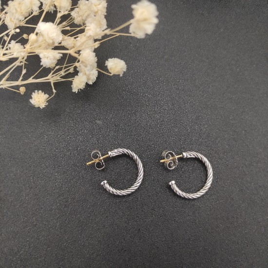 David Earrings