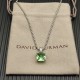 David Necklace