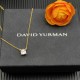 David Necklace