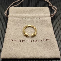 David Ring