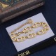 Dior Bracelet