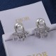 Dior Earrings