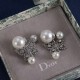 Dior Earrings