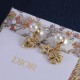 Dior Earrings