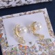 Dior Earrings