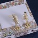 Dior Earrings