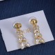 Dior Earrings