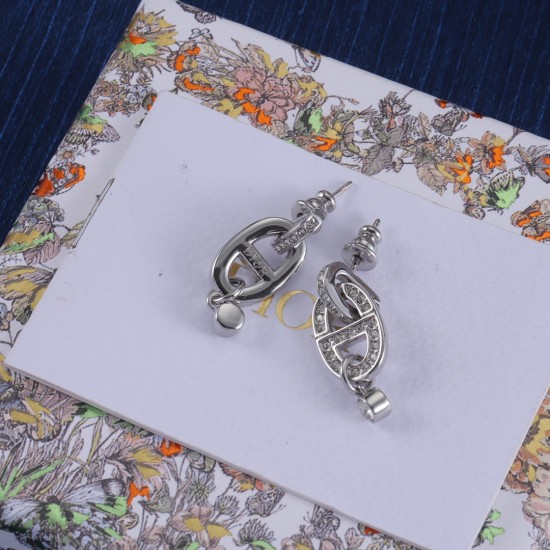 Dior Earrings