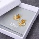 Dior Earrings