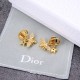 Dior Earrings