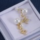 Dior Earrings