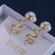 Dior Earrings