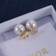 Dior Earrings