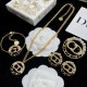 Dior Earrings