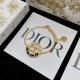 Dior Earrings