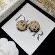 Dior Earrings