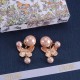 Dior Earrings