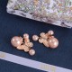 Dior Earrings