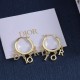 Dior Earrings