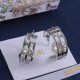 Dior Earrings