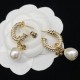 Dior Earrings