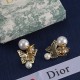 Dior Earrings