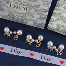 Dior Earrings