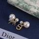Dior Earrings