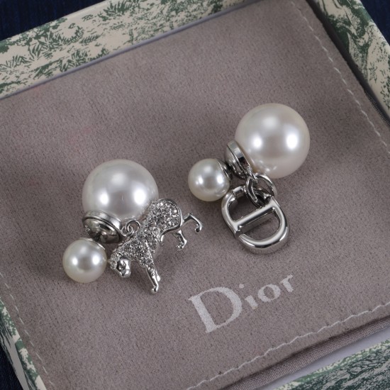 Dior Earrings