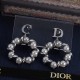 Dior Earrings