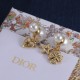 Dior Earrings