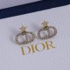 Dior Earrings