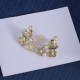 Dior Earrings