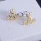 Dior Earrings